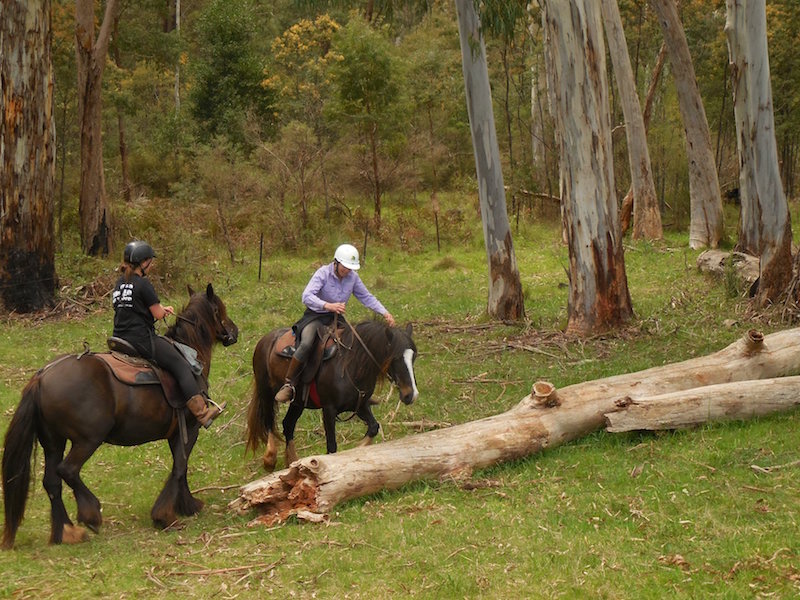 44458607_10156822246237560_8986810898957991936_o