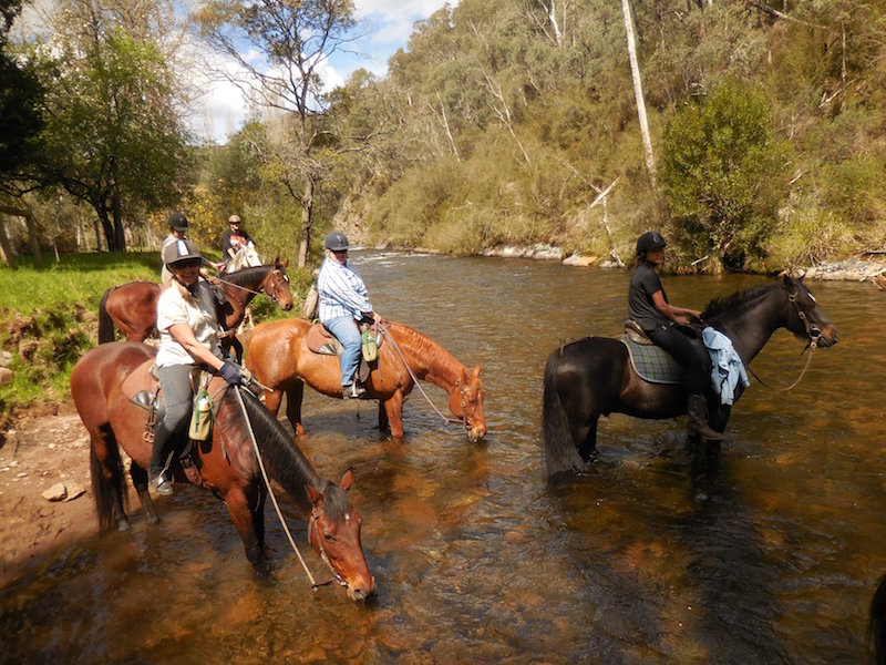 44464177_10156822242037560_1741741510635814912_o