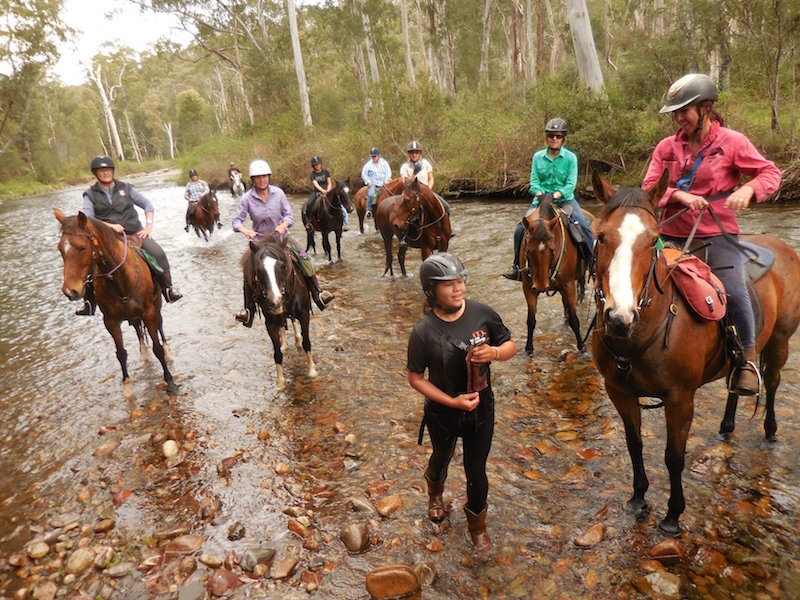 44521997_10156822242977560_840211820617662464_o