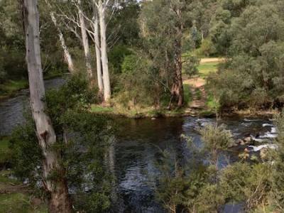 Buckle Up Ladies –  come for a&nbsp;ride…..