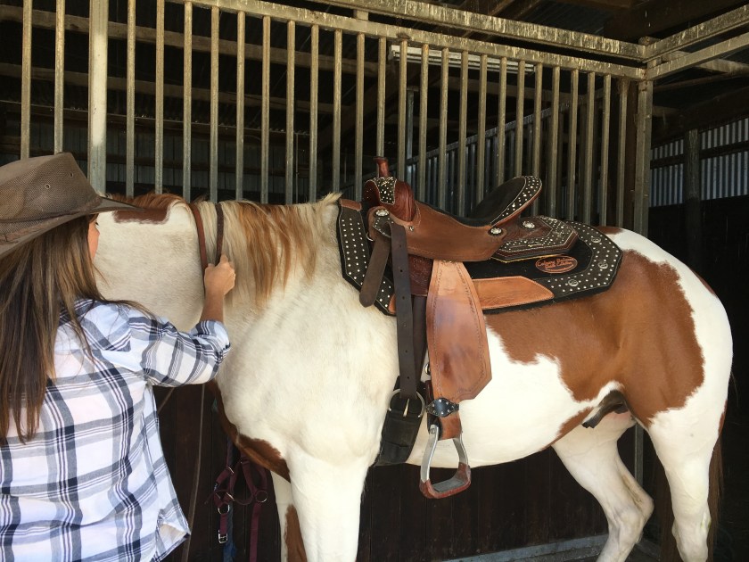 50D00868-4BC7-4934-A37C-9AC486E85392