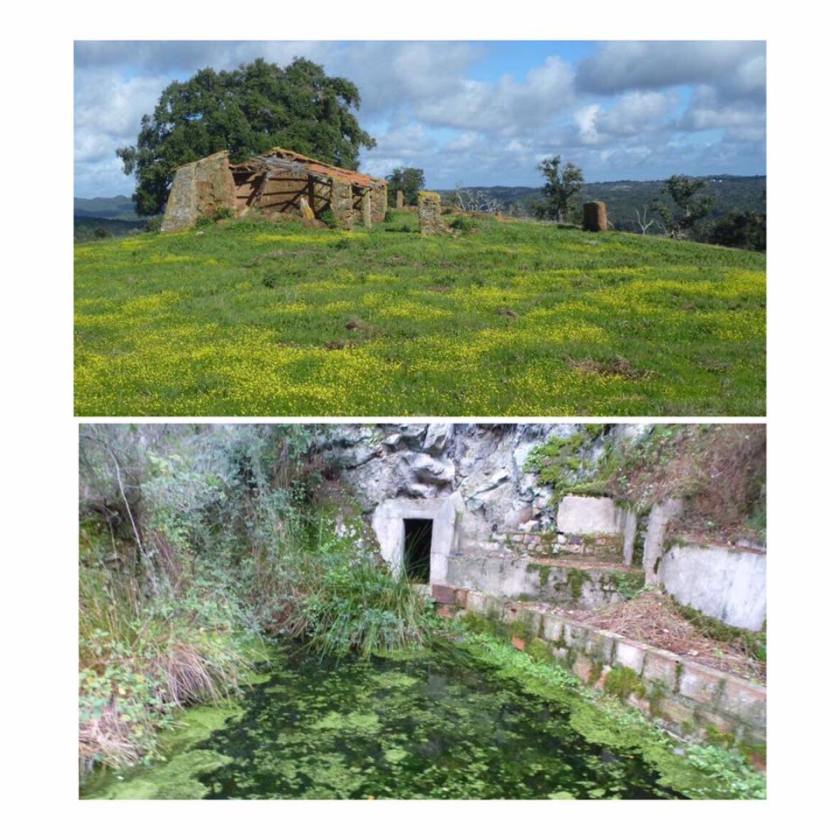 47036282_2217926644893095_5262079014914228224_n