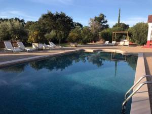 47122145_10216200598114918_4974342843469398016_n