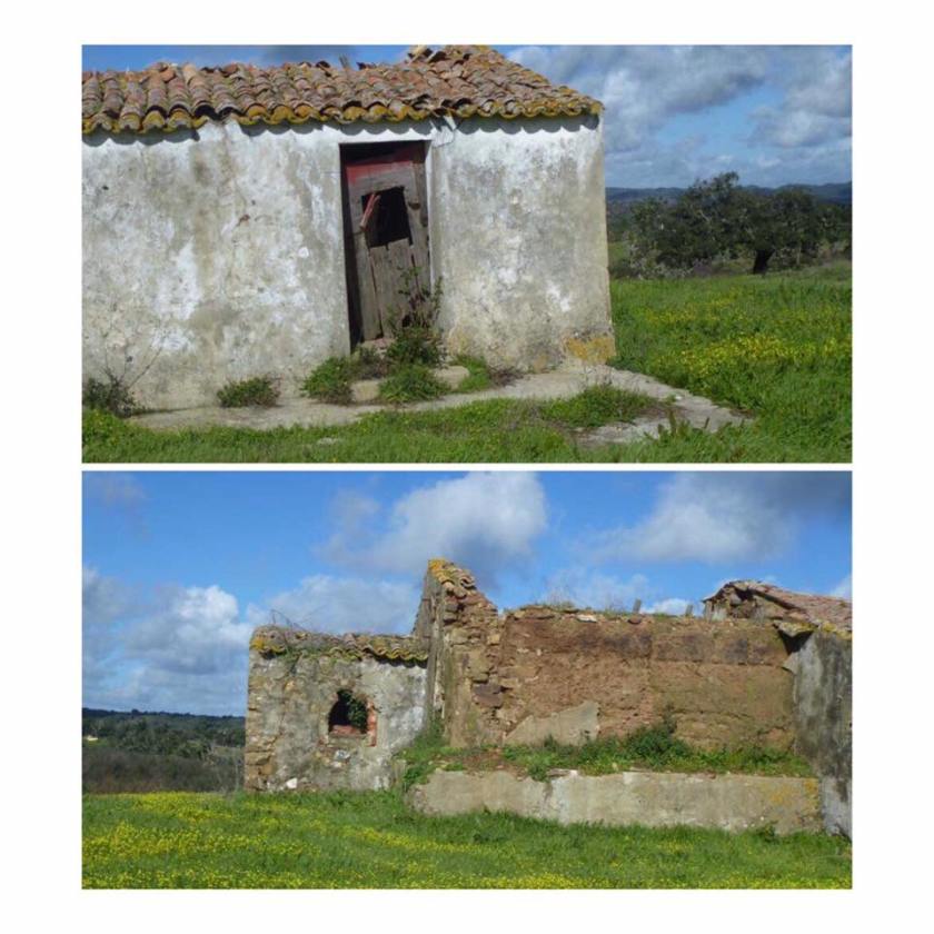 47226213_2217926634893096_7293859349221343232_n