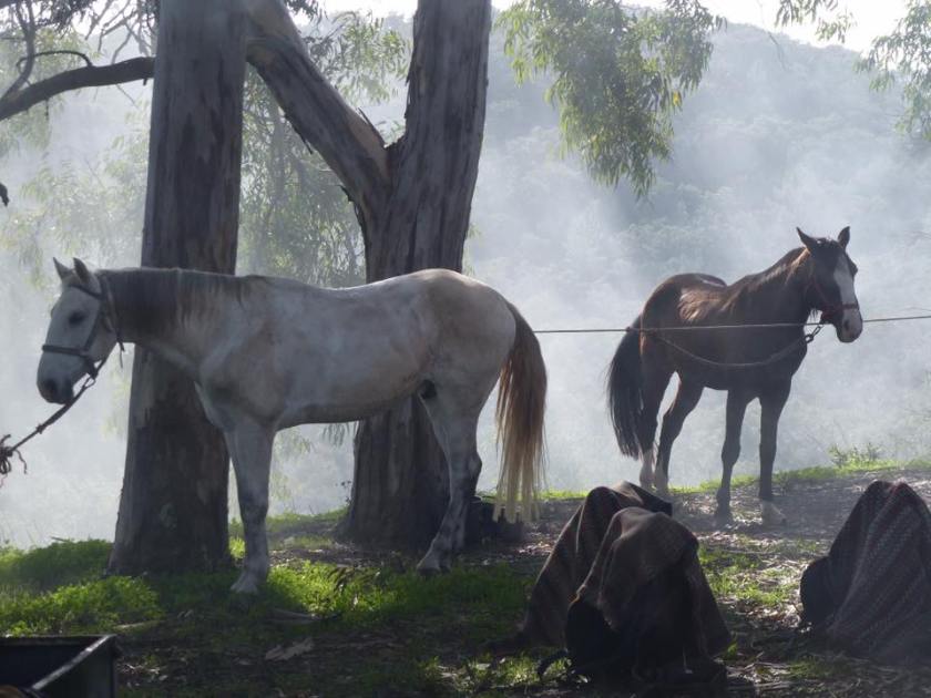 47298299_10216200605155094_191331077820776448_n