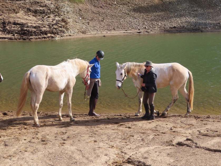 47682321_348590312643892_1207693092228956160_n