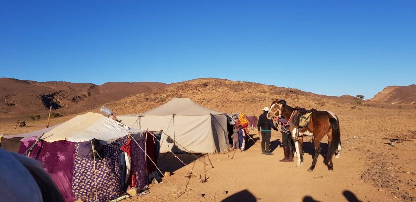 48379003_261796737824619_4676536528493608960_n