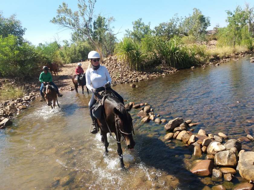 65309383_456890111541696_5200013584981032960_n