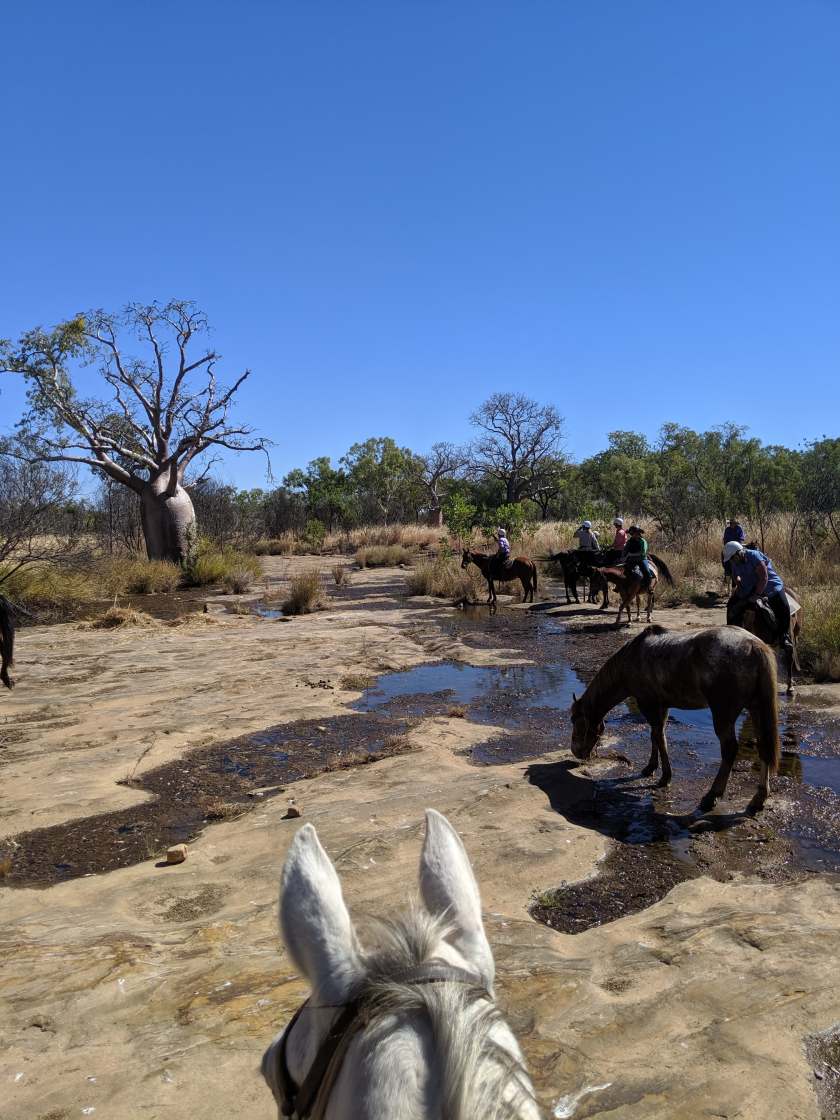 65562389_2208117342619353_6724125585150312448_n