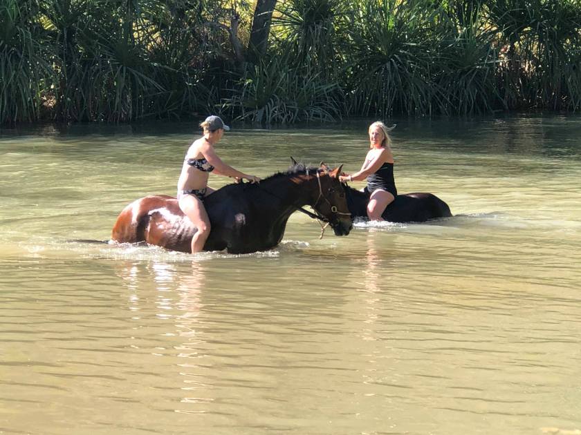 65662787_2374240222846001_2400321170055364608_n