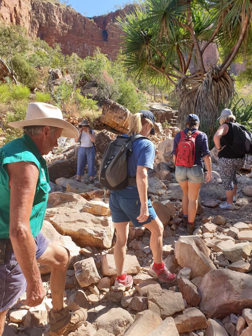 65951824_661225077683706_703666551055712256_n