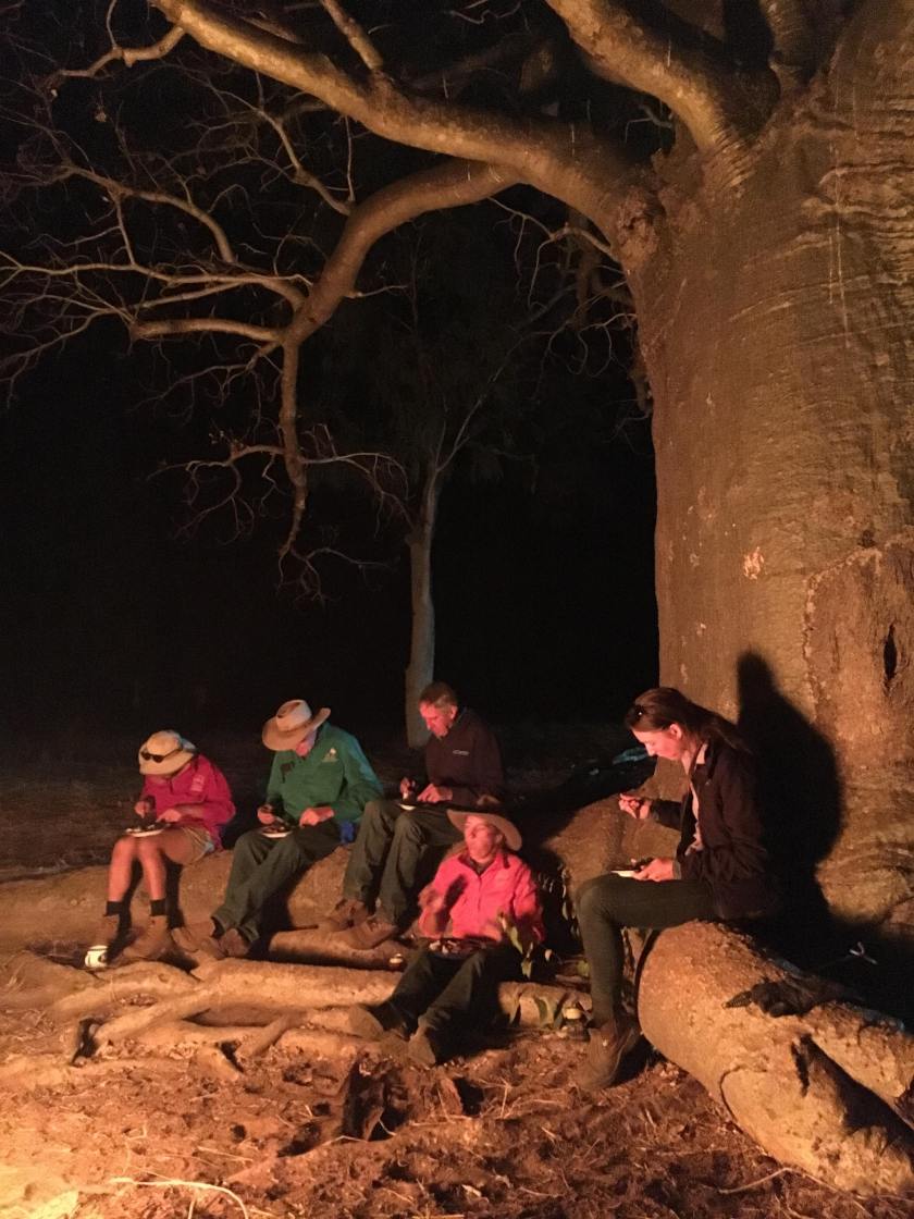 66644717_341035880167066_4077811563375886336_n