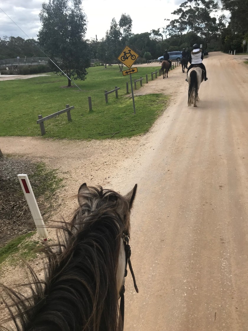 68797098_383835682331774_1934355589677187072_n