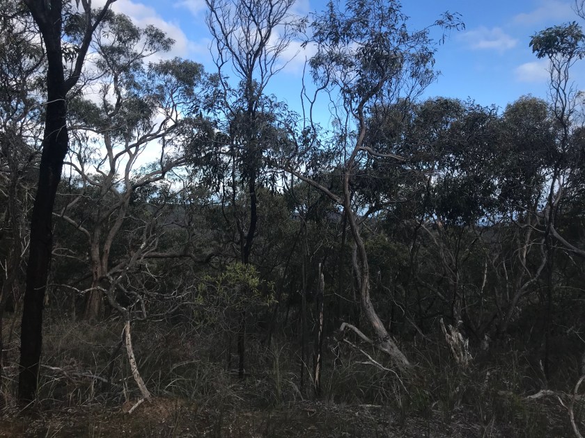 69010306_373076866710515_8947517634736291840_n