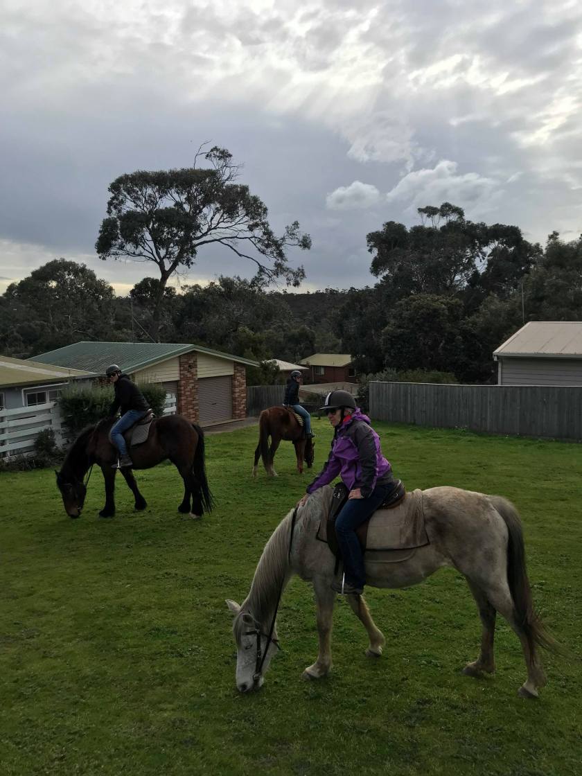 69095768_739779326451857_5834595539835944960_n