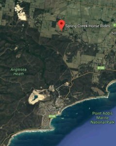 Screen Shot 2019-08-26 at 3.01.27 PM