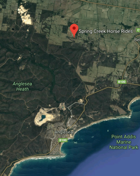 Screen Shot 2019-08-26 at 3.01.27 PM