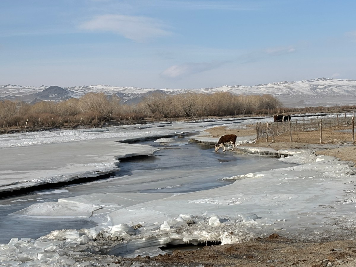 A new day; a new&nbsp;adventure